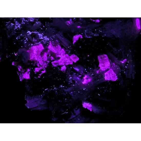 Leucophanite & Polylithionite