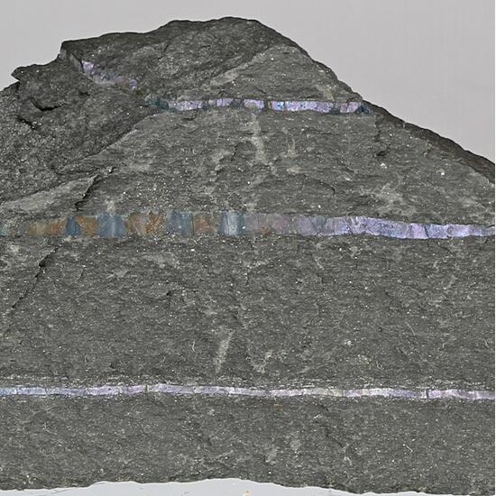Bornite