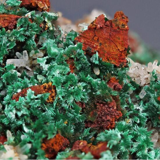 Malachite & Chalcopyrite