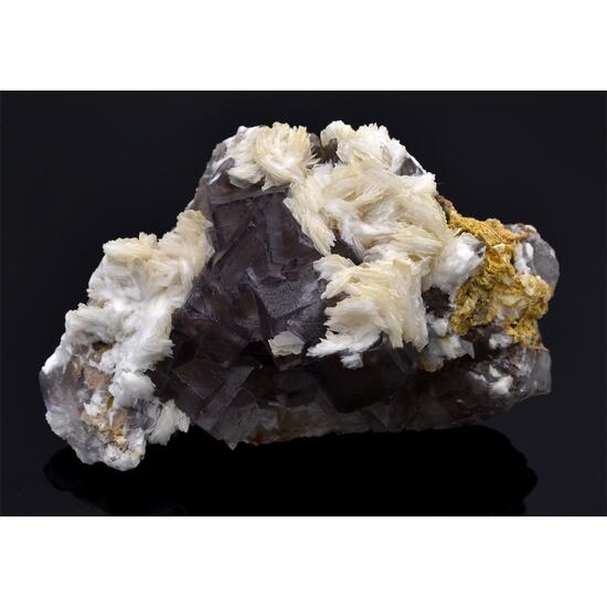 Fluorite With Baryte