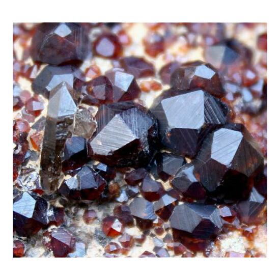 Garnet & Smoky Quartz