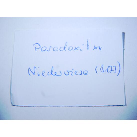 Paradoxite