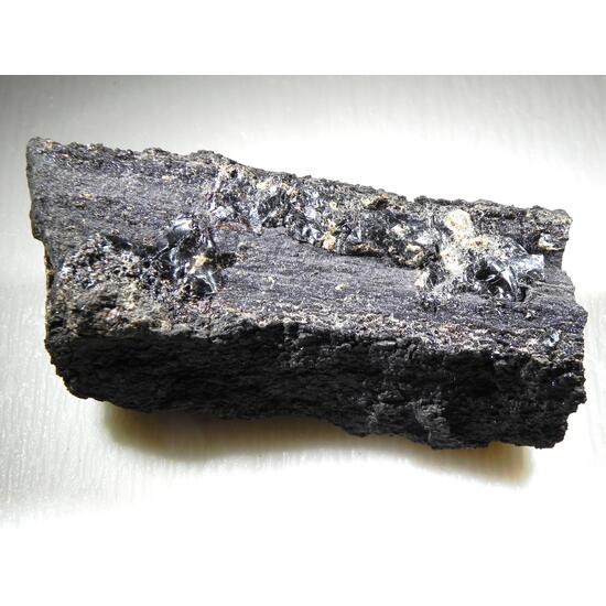 Duxite Amber On Petrified Wood