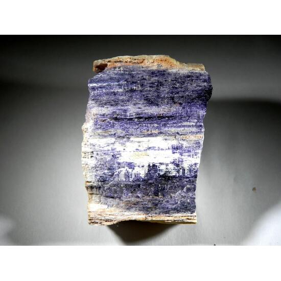 Fluorite & Quartz Psm Petrified Wood