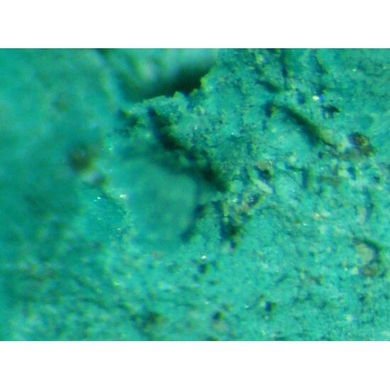 Copper