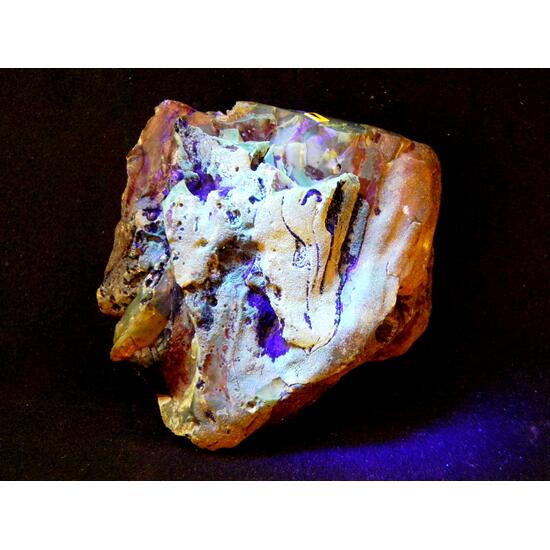 Amber With Inclusions