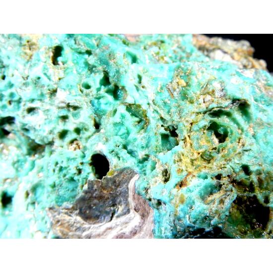 Turquoise