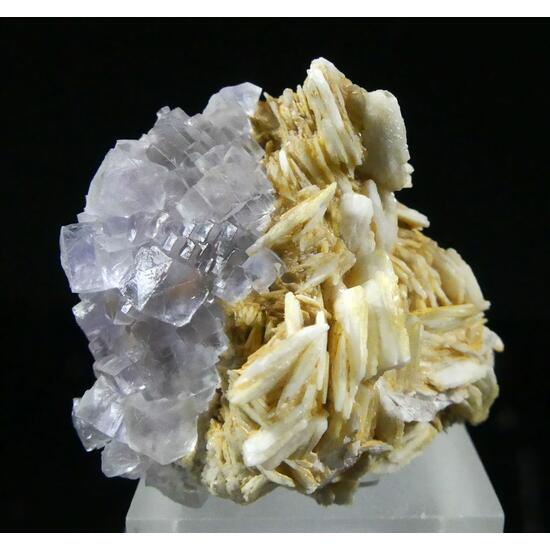 Fluorite & Baryte