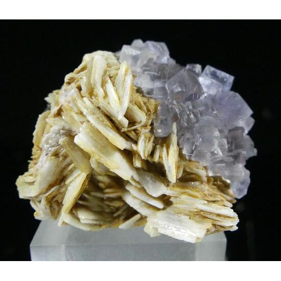 Fluorite & Baryte