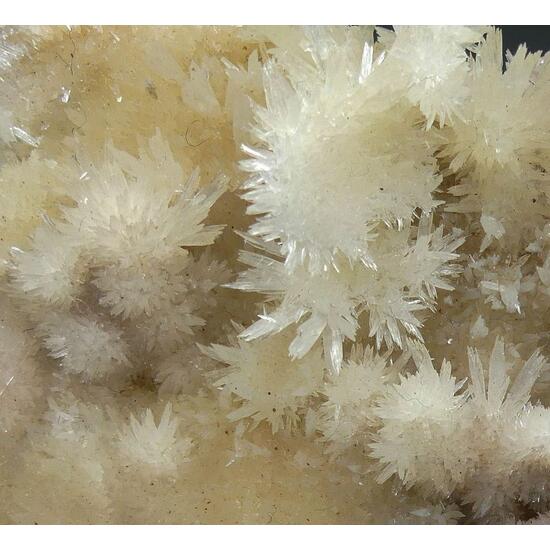 Aragonite