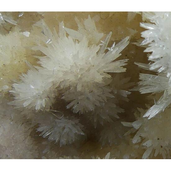 Aragonite