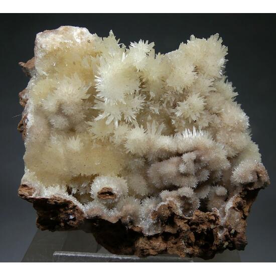 Aragonite