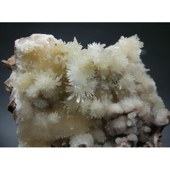 Aragonite