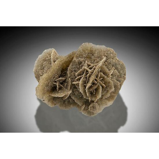 Gypsum