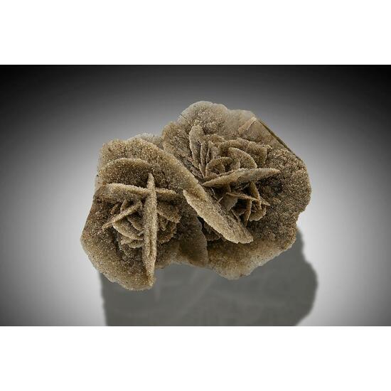Gypsum