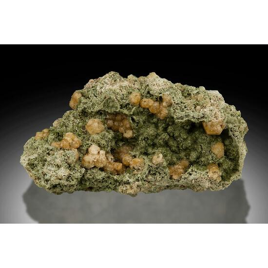 Grossular & Augite Var Fassaite