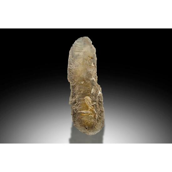Gypsum