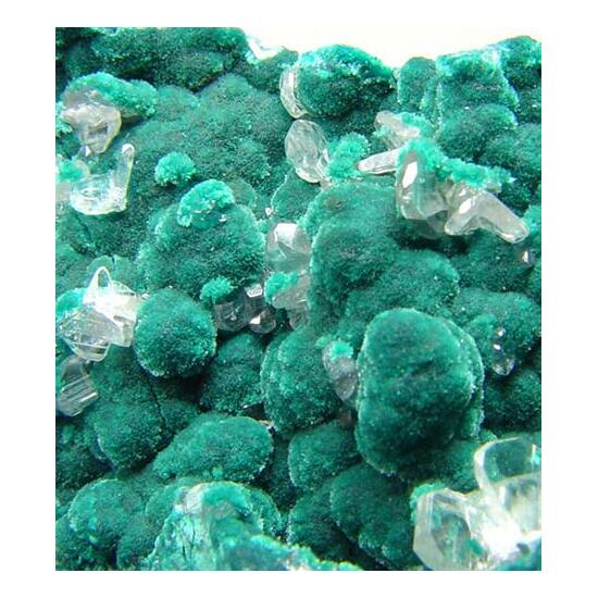 Rosasite & Cerussite