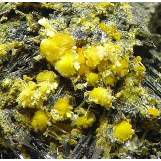 Klebelsbergite