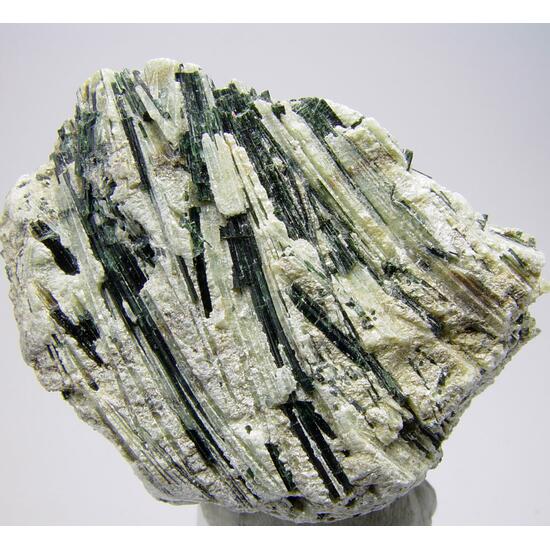 Actinolite