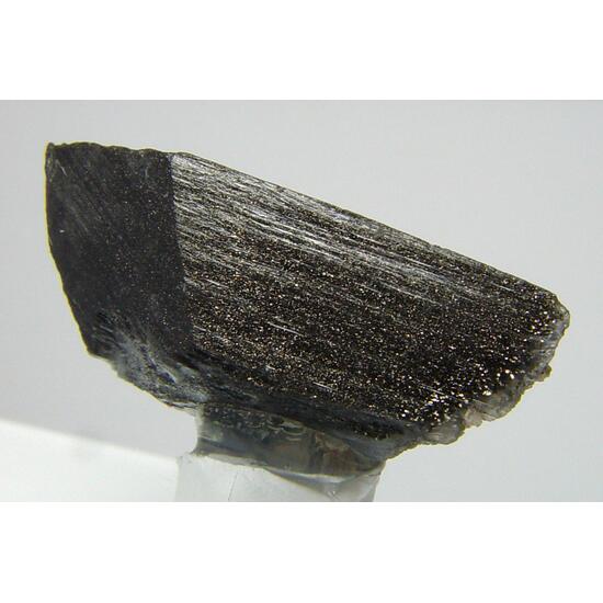 Whewellite