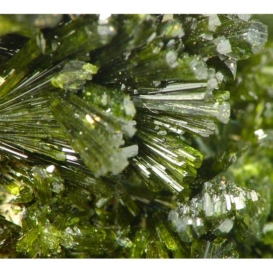 Epidote