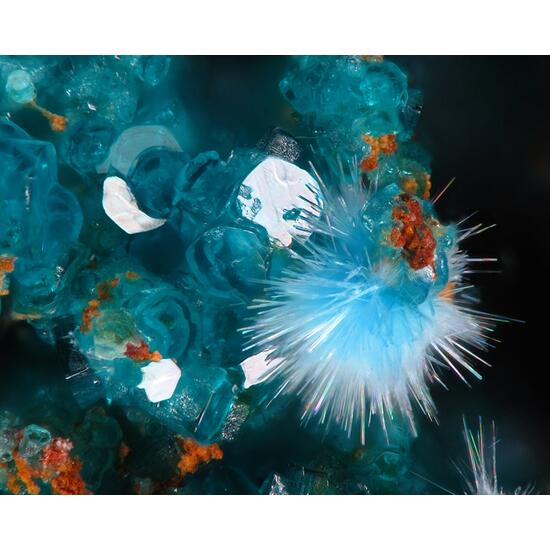 Spangolite