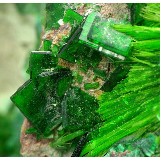 Cuprosklodowskite & Metatorbernite