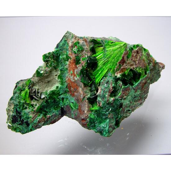 Cuprosklodowskite & Metatorbernite