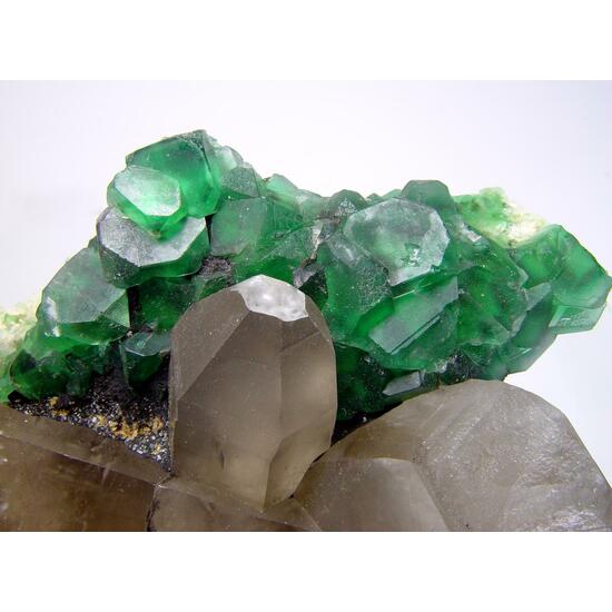Fluorite On Smoky Quartz