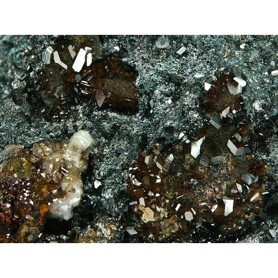 Caracolite