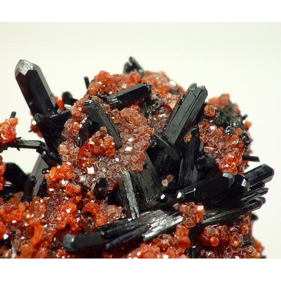 Gaudefroyite On Andradite