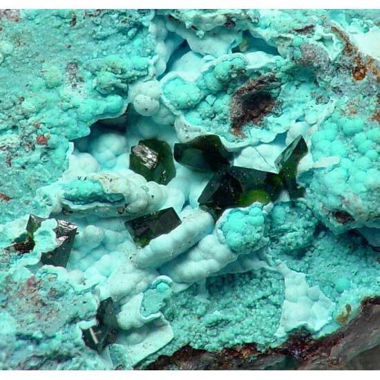 Zapatalite & Libethenite