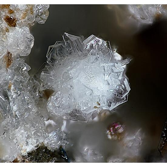 Tridymite & Fluorophlogopite