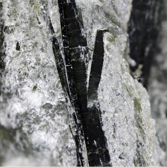 Actinolite