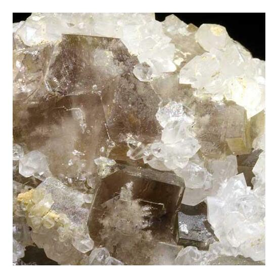 Fluorite & Quartz