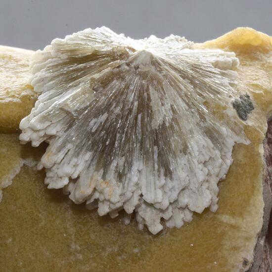 Baryte On Calcite