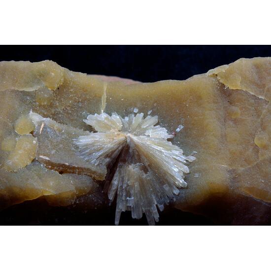 Baryte On Calcite