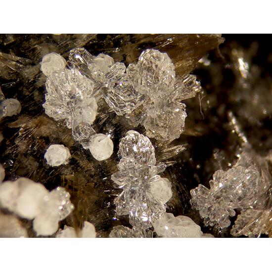 Phillipsite-K Chabazite & Calcite