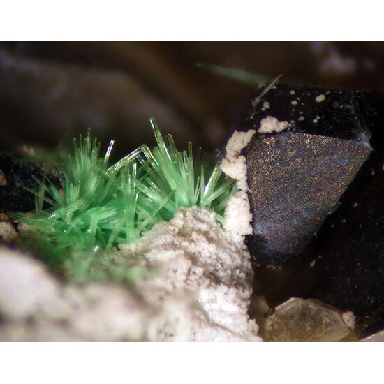 Ulrichite