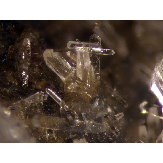 Phillipsite