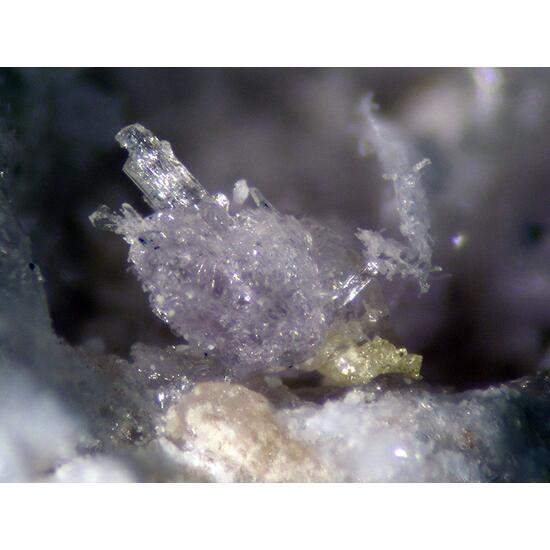 Alcaparrosaite & Zincian Pertlikite
