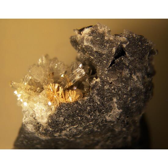 Cervantite