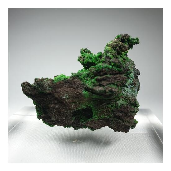 Conichalcite Psm Manganese