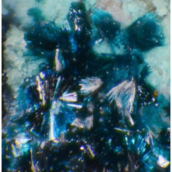 Clinoclase Strashimirite & Cornwallite