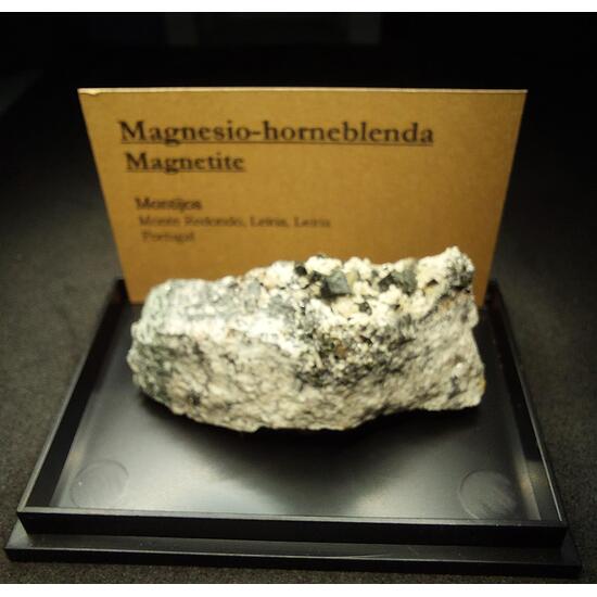 Magnesio-hornblende Calcite Magnetite Fluorapatite & Albite
