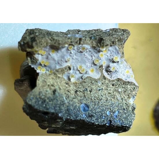 Phillipsite-Na