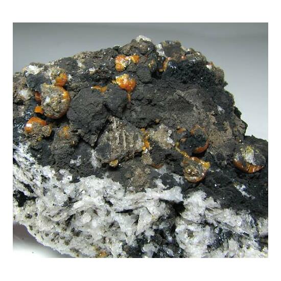 Campylite