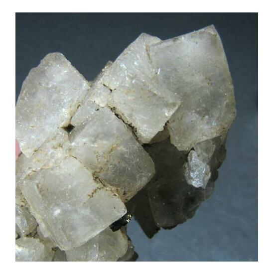 Fluorite & Chalcopyrite