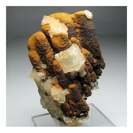 Goethite & Calcite